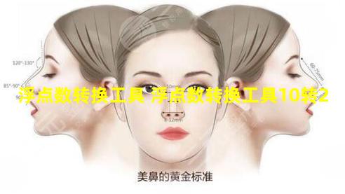 浮点数转换工具 浮点数转换工具10转2
